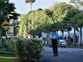 Tn dsc 6118